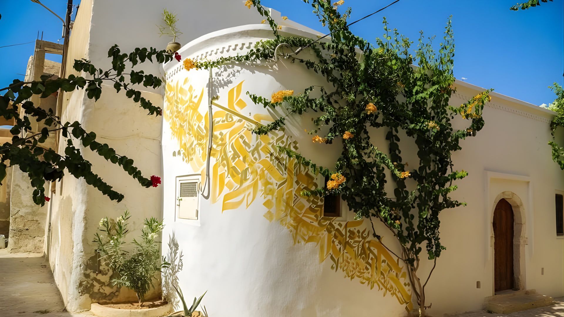 Djerbahood - Arte de Rua ao Ar Livre: foto 2
